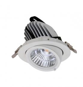 LED Down Light