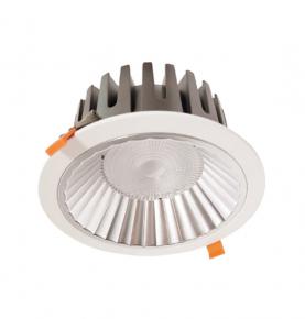 LED Down Light