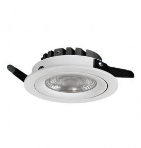 LED Down Light