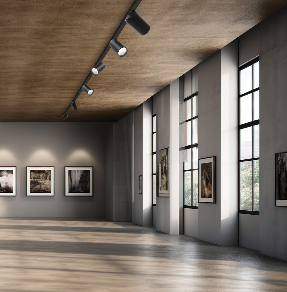 The Gallery Lighting: How to Tell Art's Story with POWER CCT switchable Track Light